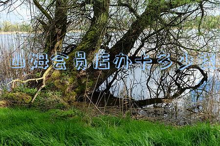 山姆会员店值得办卡吗(山姆会员店值得办卡吗?)