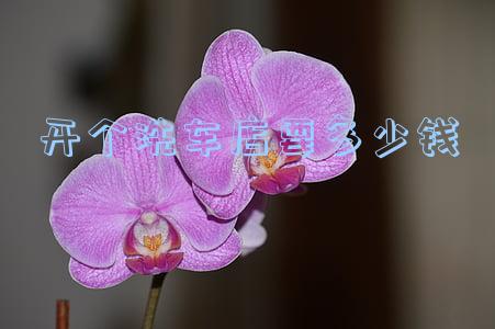 开一个洗车店要多少钱(开一个洗车店要多少钱?)