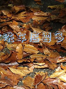 开个洗车店要多少钱