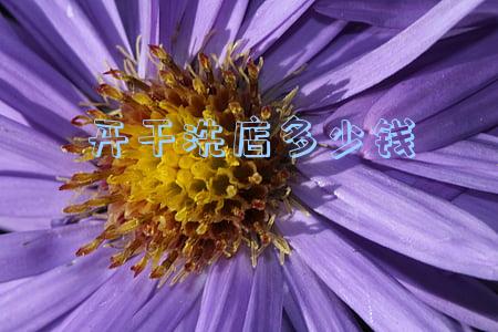 开干洗店多少钱
