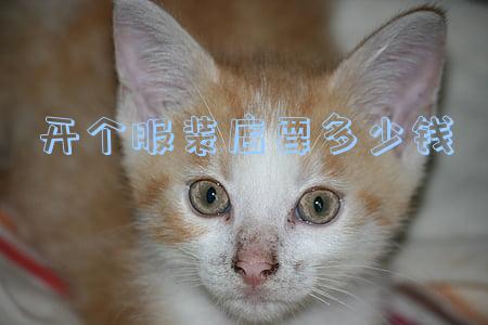 开个衣服店需要多少钱(开一家服装店大概需要多少钱)
