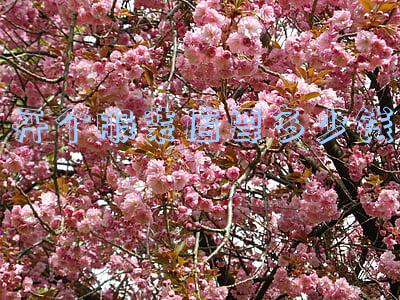 开个服装店要多少钱知乎(开个服装店要多少钱知乎)