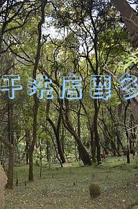加盟奥芝干洗店多少钱(洁神干洗店加盟连锁)