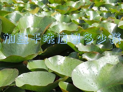 加盟一个干洗店多少钱(加盟一家干洗店要多少钱?)