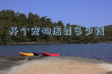 开小宠物店一年赚多少钱(宠物店一个月能赚多少)