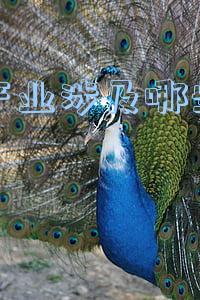 新兴产业行业代码(中邮战略新兴产业混合基金最新净值涨幅达2.26%)