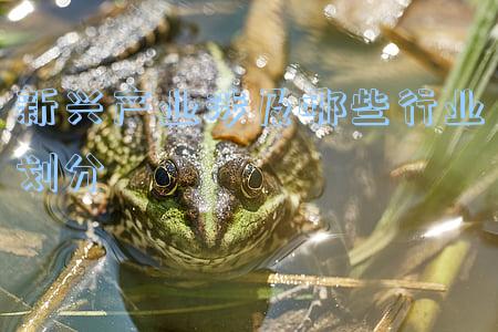 战略新兴产业行业代码(新华战略新兴产业混合基金最新净值跌幅达5.66%)
