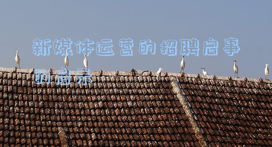 新媒体运营的招聘启事的启示