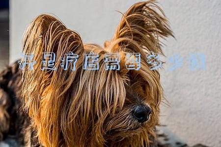 开足疗店需要多少钱一个月