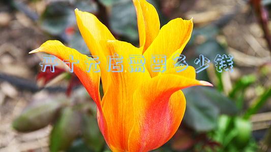 全场十元店(全场十元店店铺图片)