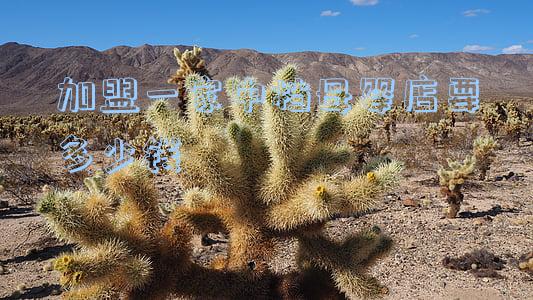 加盟母婴店得多少钱(加盟一家母婴店费用需要多少)
