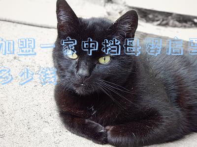 母婴店加盟价格表(母婴店加盟多少钱)