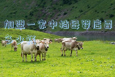 加盟好孩子母婴店要多少钱(好孩子母婴连锁店加盟费多少)