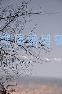 开淘宝店需要多少钱押金