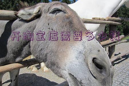 开淘宝店需要多少钱一个月(开淘宝店一个月要交多少钱)