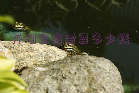 开淘宝店要多少钱(开淘宝店要多少钱押金能退吗)