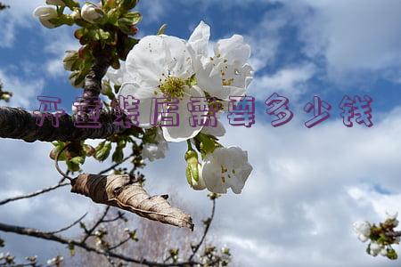 新手如何开童装店需要多少钱(开个童装店大概需要多少钱进货)
