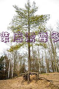 开童装店大概需要多少钱(开一个童装加盟店大概要多少钱)
