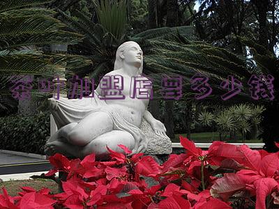 茶叶加盟店一般需要多少钱呢(开茶叶加盟店)