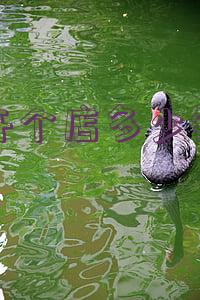 开店得多少钱(网上开店需要多少钱?)