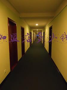 宠物加盟店多少钱(宠物店连锁加盟多少钱)