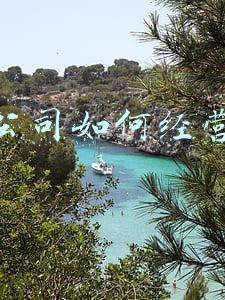 企业如何经营(必修一企业如何经营)