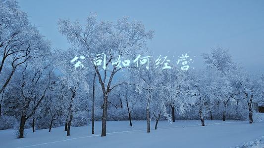 公司如何经营和发展(公司如何经营和发展自己)