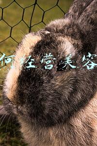 如何经营美容院 商学院(美容院商学院课程培训)