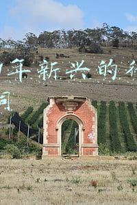 2021年兴起的行业(盘点2021：资本市场十大惊喜公司)