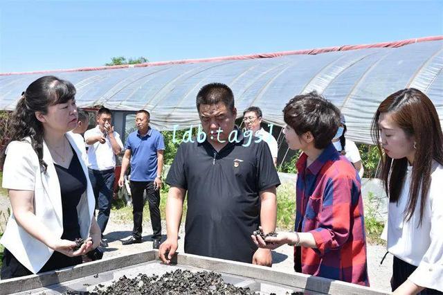 双鸭山电视台新闻联播(黑龙江双鸭山市：发展电子商务“小屏幕”打开“大市场”)