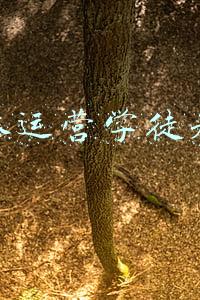 新媒体运营怎么自学(《新媒体运营入门指南》带你快速上手新媒体，早日实现财富自由)