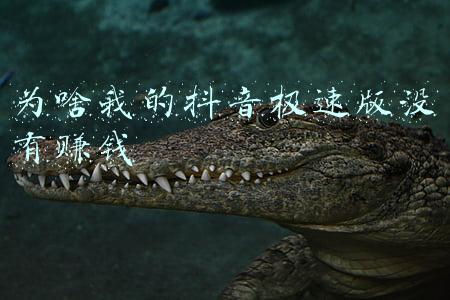 为啥我的抖音极速版没有赚钱