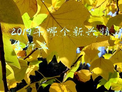 2019年哪个新兴销售行业