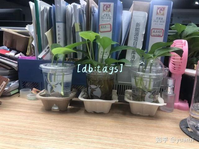 新媒体运营助理是干嘛(23岁的我遭受到社会的毒打，选择了转行新媒体运营)