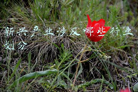 新兴产业的定义(经济微​讲义 | 走进江苏的“战略性新兴产业”)