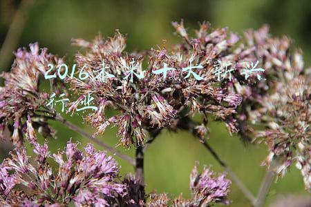 2016未来十大新兴行业