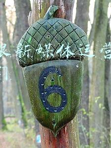 美工跟新媒体运营哪个好入门