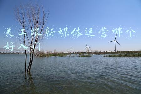 运营助理兼美工(#义乌圈# 之前去一个直播供应链应聘美工，后来老板娘问我愿不愿)