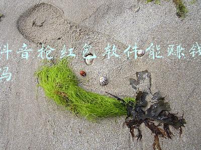 抖音抢红包软件能赚钱吗