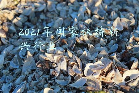 2021年新兴产业(2021年即将改变人类十大新兴技术)