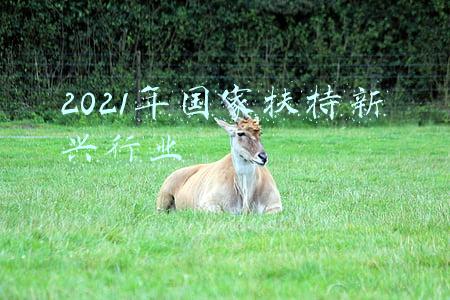 2021年国家扶持项目(国家发改委出台工作方案：2021年生物质发电项目中央补贴25亿元，较上年高出10亿元)