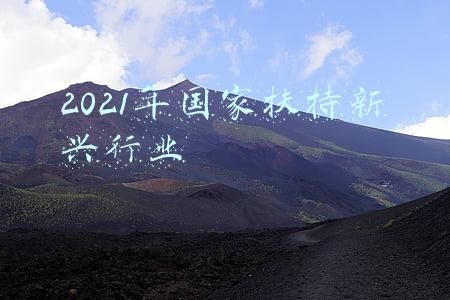 2021年国家扶持的创业项目(关于推广支持农民工等人员返乡创业试点经验的通知（发改办就业〔2021〕721号）)