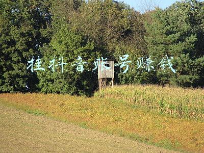 挂抖音账号赚钱