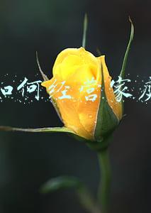 如何经营家庭才会幸福(怎样经营家庭才能幸福)