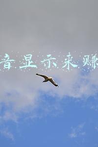 抖音显示来赚钱怎么上传视频(新手照样也能赚大钱，掌握抖音视频4个要点就够)