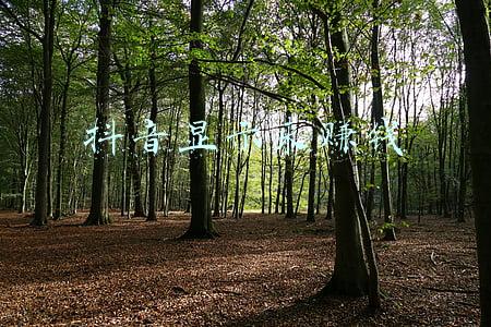 抖音显示共同联系人(关于澄清“字节跳动涉嫌盗取腾讯关系链”谣言的说明)