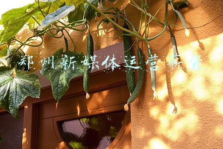 郑州市最低薪资标准(郑州2000元/月！河南调整最低工资标准)