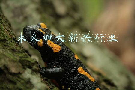 未来四大新兴行业