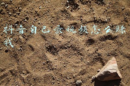 抖音自己录视频怎么赚钱