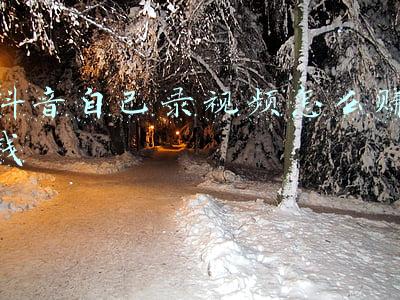 抖音自己录视频怎么赚钱